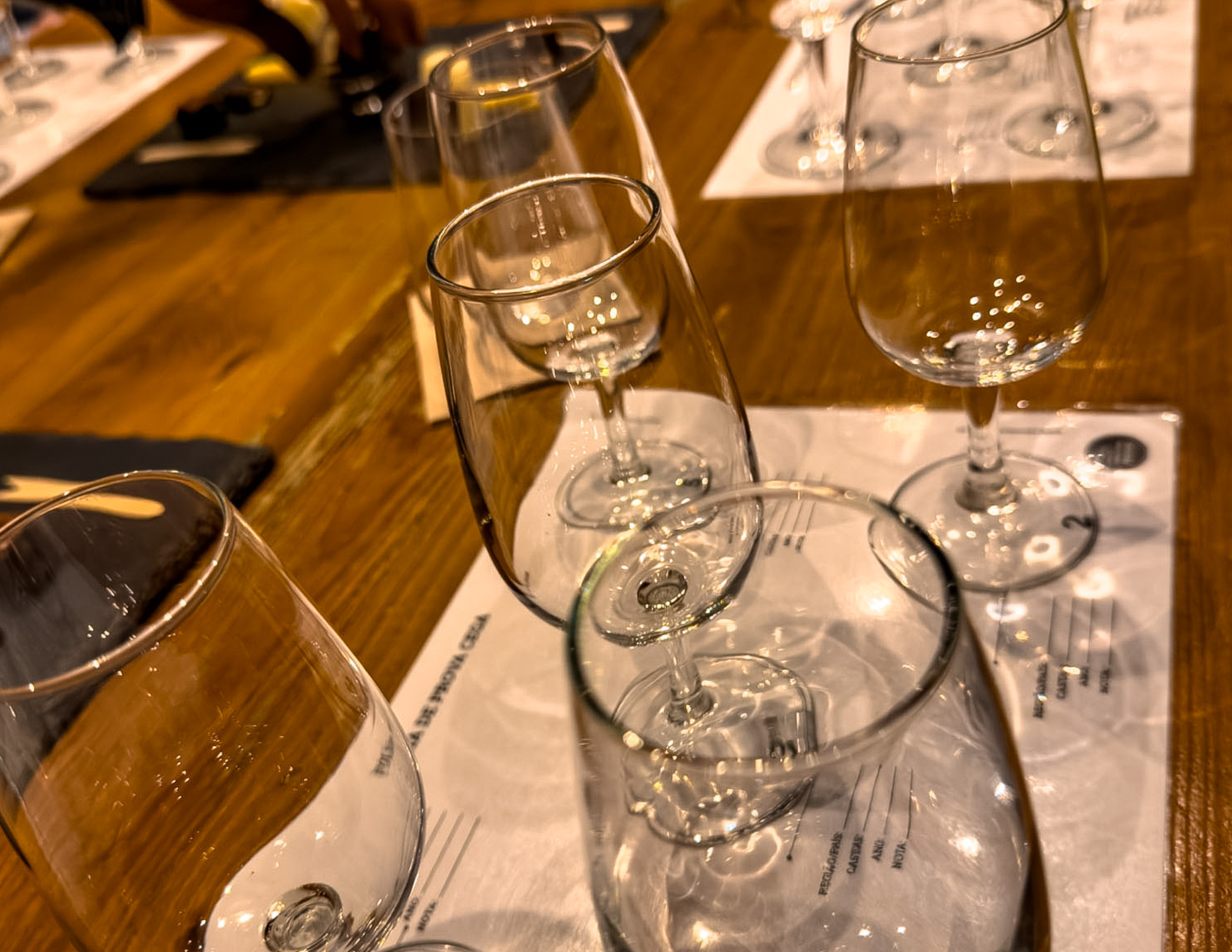 Port Wine Tasting in Porto (8).png